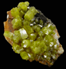 Pyromorphite from Bunker Hill Mine, Coeur d'Alene District, Shoshone County, Idaho