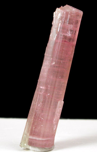 Elbaite var. Rubellite Tourmaline from Himalaya Mine, Mesa Grande District, San Diego County, California