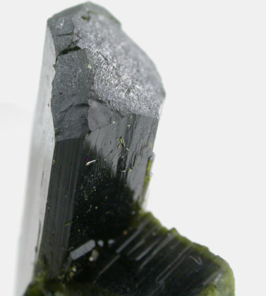 Epidote from Pamlico District, Mineral County, Nevada