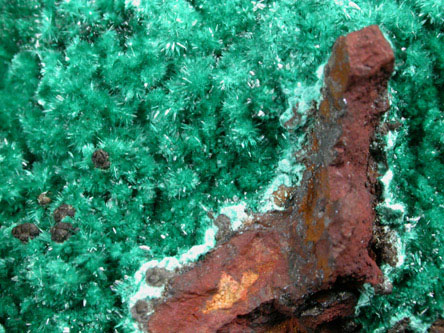 Brochantite from New Cornelia Mine, Ajo, Pima County, Arizona