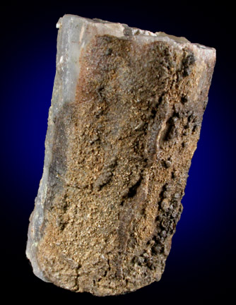 Quartz var. Petrified Wood from Eden Valley, Sweetwater County, Wyoming