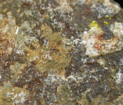 Haynesite from Repete Mine, San Juan County, Utah (Type Locality for Haynesite)