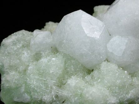 Analcime, Natrolite, Datolite on Prehnite from Upper New Street Quarry, Paterson, Passaic County, New Jersey