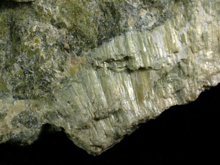 Lizardite var. Marmolite from Hoboken, Hudson County, New Jersey