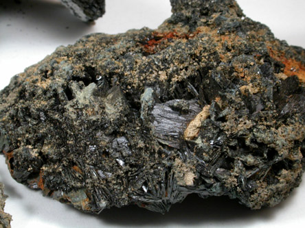 Vivianite (pseudomorphs after mollusks) from Mullica Hill, Gloucester County, New Jersey