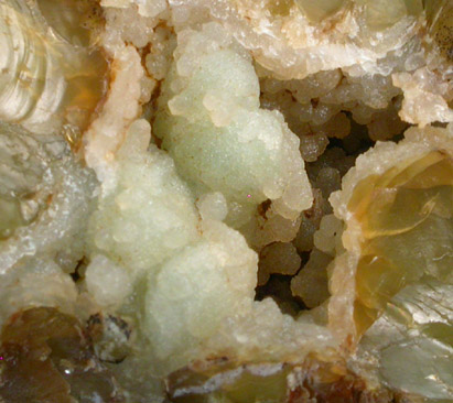 Quartz var. Chrysoprase from Bohemia, Czech Republic