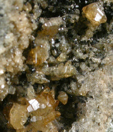 Humite with Magnetite from Monte Somma, Napoli, Campania, Italy (Type Locality for Humite)