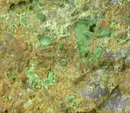 Obradovicite with Jarosite, Quartz from Mina Chuqui, Chuquicamata, Antofagasta, Chile (Type Locality for Obradovicite)