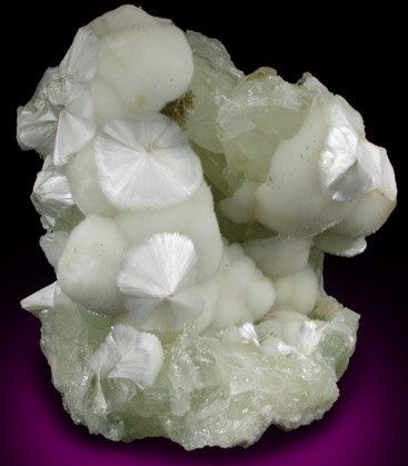 Pectolite, Datolite, Prehnite from Route 80 construction, Paterson, Passaic County, New Jersey