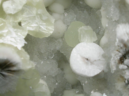 Prehnite on Pectolite with casts after Calcite from Millington Quarry, Bernards Township, Somerset County, New Jersey