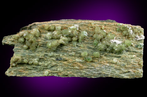 Andradite var. Demantoid Garnet with Chrysotile from Val Malenco, Sondrio, Lombardy, Italy