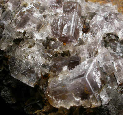 Fluorite from Is Murvonis Mine, Iglesias District, Sardinia, Italy