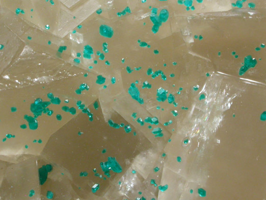 Dioptase on Calcite from Tsumeb Mine, Otavi-Bergland District, Oshikoto, Namibia