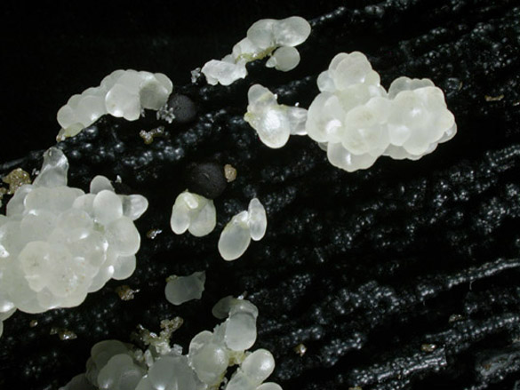 Smithsonite on smronadite from Proprietary Mine, Broken Hill, New South Wales, Australia