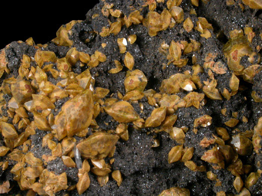 Sturmanite on Hematite with Celestine from N'Chwaning Mine, Kalahari Manganese Field, Northern Cape Province, South Africa
