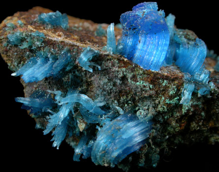 Chalcanthite from Graphic Mine, Magdalena District, Socorro County, New Mexico