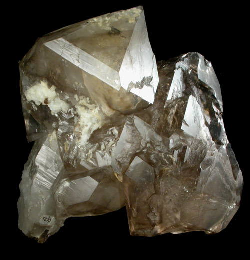 Quartz var. Smoky Scepter from Barra do Salinas, Coronel Murta, Minas Gerais, Brazil