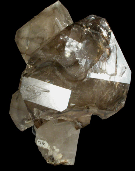 Quartz var. Smoky Scepter from Barra do Salinas, Coronel Murta, Minas Gerais, Brazil