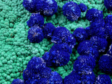 Azurite on Malachite from Metcalf Mine, Morenci, Greenlee County, Arizona