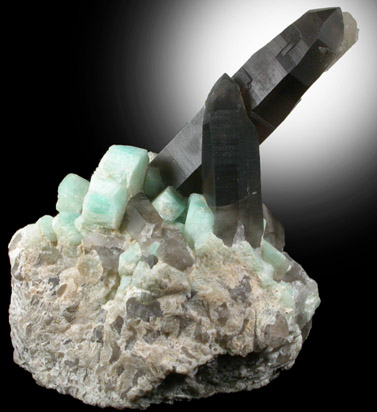 Quartz var. Smoky with Microcline var. Amazonite from Lake George District, Park County, Colorado