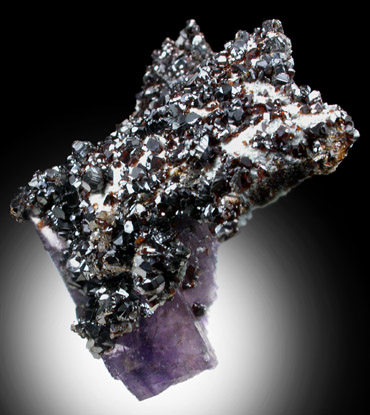 Sphalerite, Fluorite, Quartz from Rosiclare District, Hardin County, Illinois