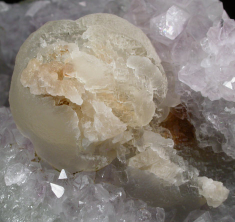 Fluorite (rare botryoidal form) on Quartz var. Amethyst from Tekhdi, Madhya Pradesh, India