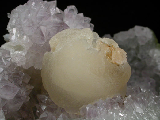 Fluorite (rare botryoidal form) on Quartz var. Amethyst from Tekhdi, Madhya Pradesh, India