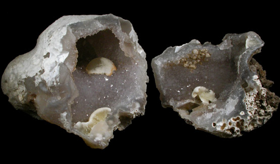 Fluorite (rare botryoidal form) in Quartz Geode from Tekhdi, Madhya Pradesh, India