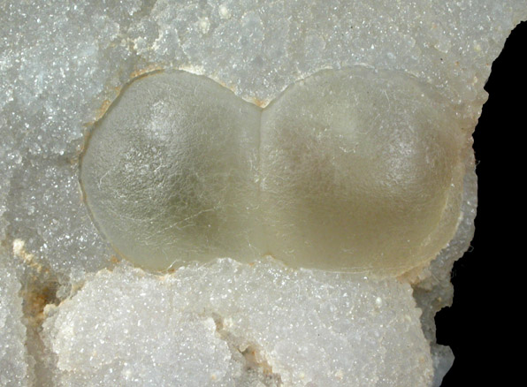 Fluorite (rare botryoidal form) on Quartz from Tekhdi, Madhya Pradesh, India