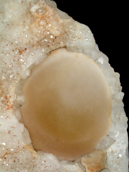 Fluorite (rare botryoidal form) on Quartz from Tekhdi, Madhya Pradesh, India