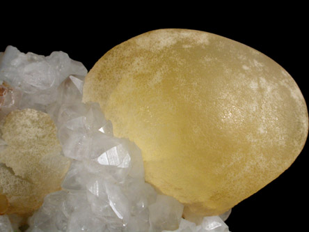 Fluorite (rare botryoidal form) on Quartz from Tekhdi, Madhya Pradesh, India