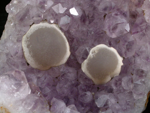 Fluorite (rare botryoidal form) on Quartz var. Amethyst from Tekhdi, Madhya Pradesh, India