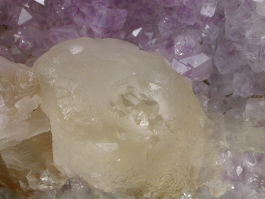 Fluorite (rare botryoidal form) on Quartz var. Amethyst from Tekhdi, Madhya Pradesh, India