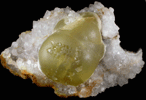 Fluorite (rare botryoidal form) on Quartz from Tekhdi, Madhya Pradesh, India