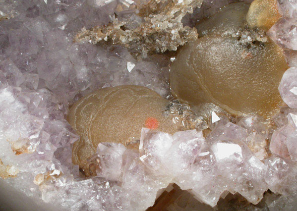 Fluorite (rare botryoidal form) on Quartz var. Amethyst Geode from Tekhdi, Madhya Pradesh, India
