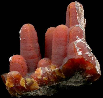 Calcite (stalactitic) from Bud Ehrle Locality, near Miles City, Carter County, Montana