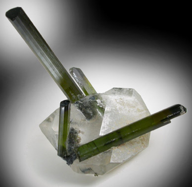 Elbaite Tourmaline in Quartz from Cruzeiro Mine, Governador Valadares, Minas Gerais, Brazil