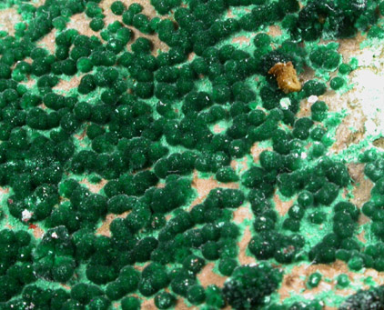 Malachite from Inspiration Mine, Globe-Miami District, Gila County, Arizona