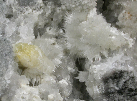 Weloganite, Strontianite, Dawsonite from Francon Quarry, Montral, le de Montral, Qubec, Canada (Type Locality for Weloganite)