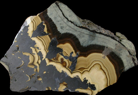 Sphalerite, Galena, Wurtzite, Pyrite (Schalenblende) from Lukw, Poland