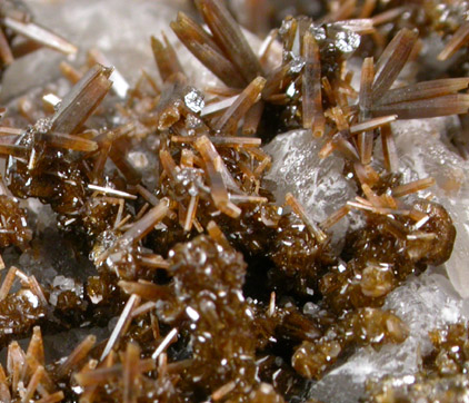 Vanadinite var. Endlichite on Calcite from Sierra de Los Lamentos, Chihuahua, Mexico