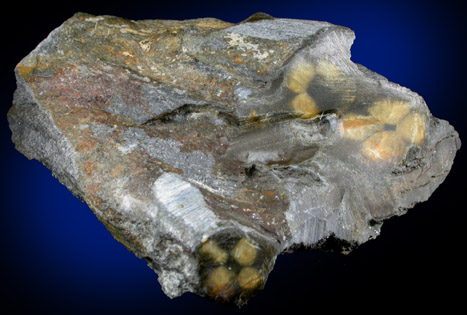 Andalusite var. Chiastolite from Lancaster, Worcester County, Massachusetts