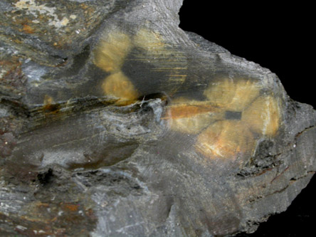 Andalusite var. Chiastolite from Lancaster, Worcester County, Massachusetts