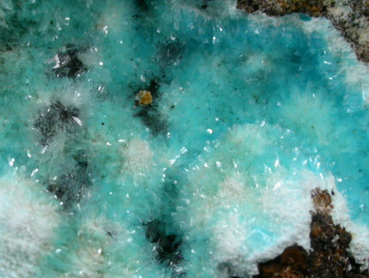 Aurichalcite, Hemimorphite, Hydrozincite from 79 Mine, Banner District, near Hayden, Gila County, Arizona