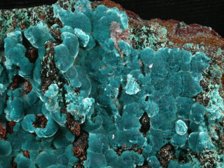 Aurichalcite from Santa Rita Shaft, near Mina Ojuela, Durango, Mexico