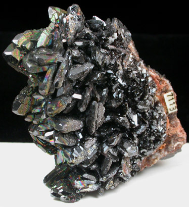 Descloizite from Berg Aukas Mine, 16 km ENE of Grootfontein, Otavi Mountain Land, Namibia