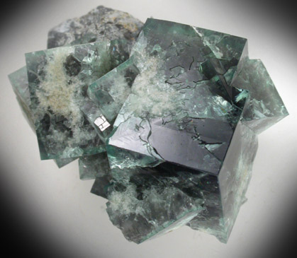 Fluorite on Galena from Rogerley Mine, Frosterley, County Durham, England