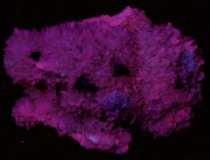 Tetrahedrite on Calcite from Concepcin del Oro, Zacatecas, Mexico