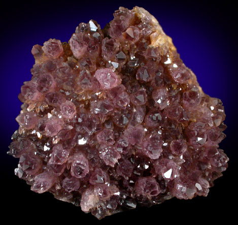 Quartz var. Amethyst over Sphalerite from Bansk Stiavnica (Schemnitz), Bansk Bystrica, Stiavnicke Mountains, Slovak Republic (Slovakia)