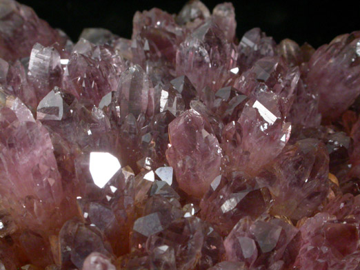 Quartz var. Amethyst over Sphalerite from Bansk Stiavnica (Schemnitz), Bansk Bystrica, Stiavnicke Mountains, Slovak Republic (Slovakia)